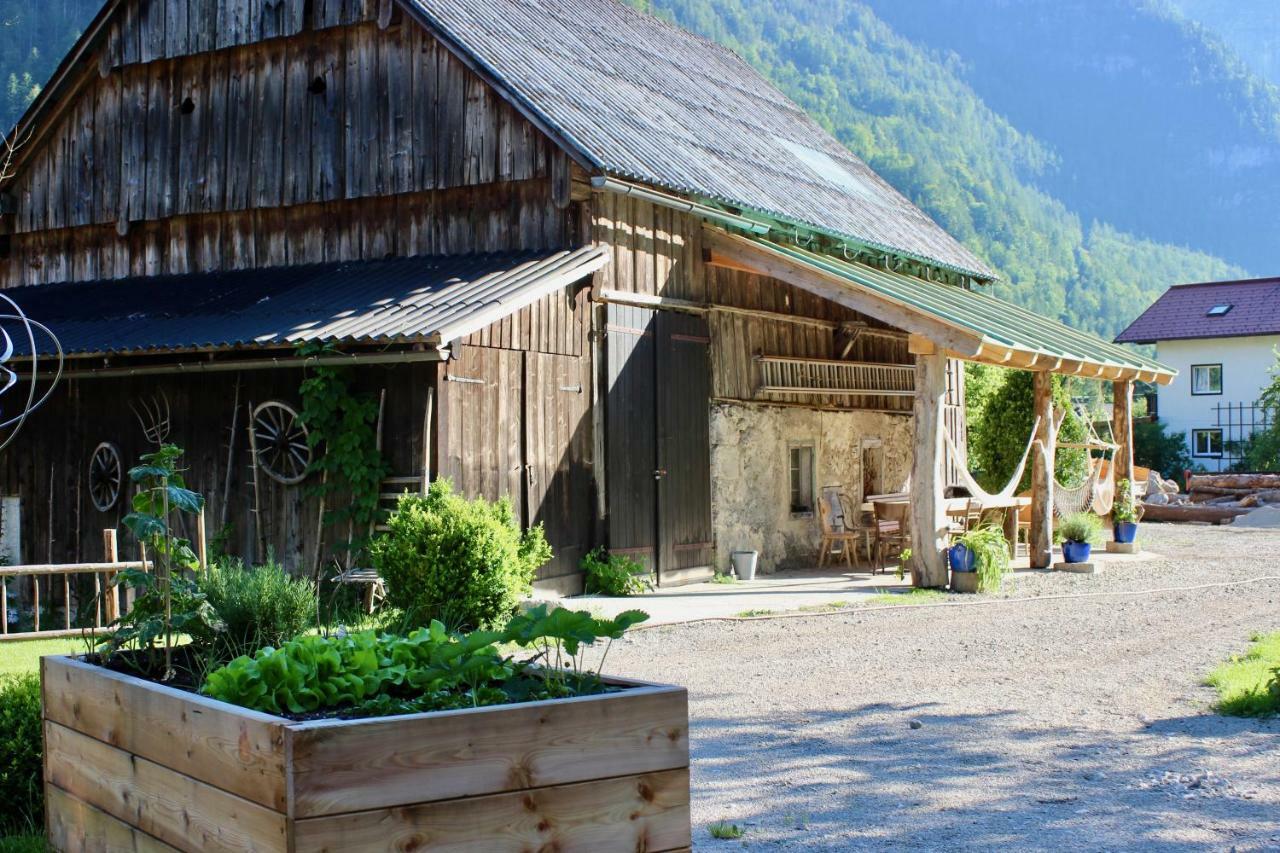 Chalet Am Sonnenhang Obertraun Exterior photo